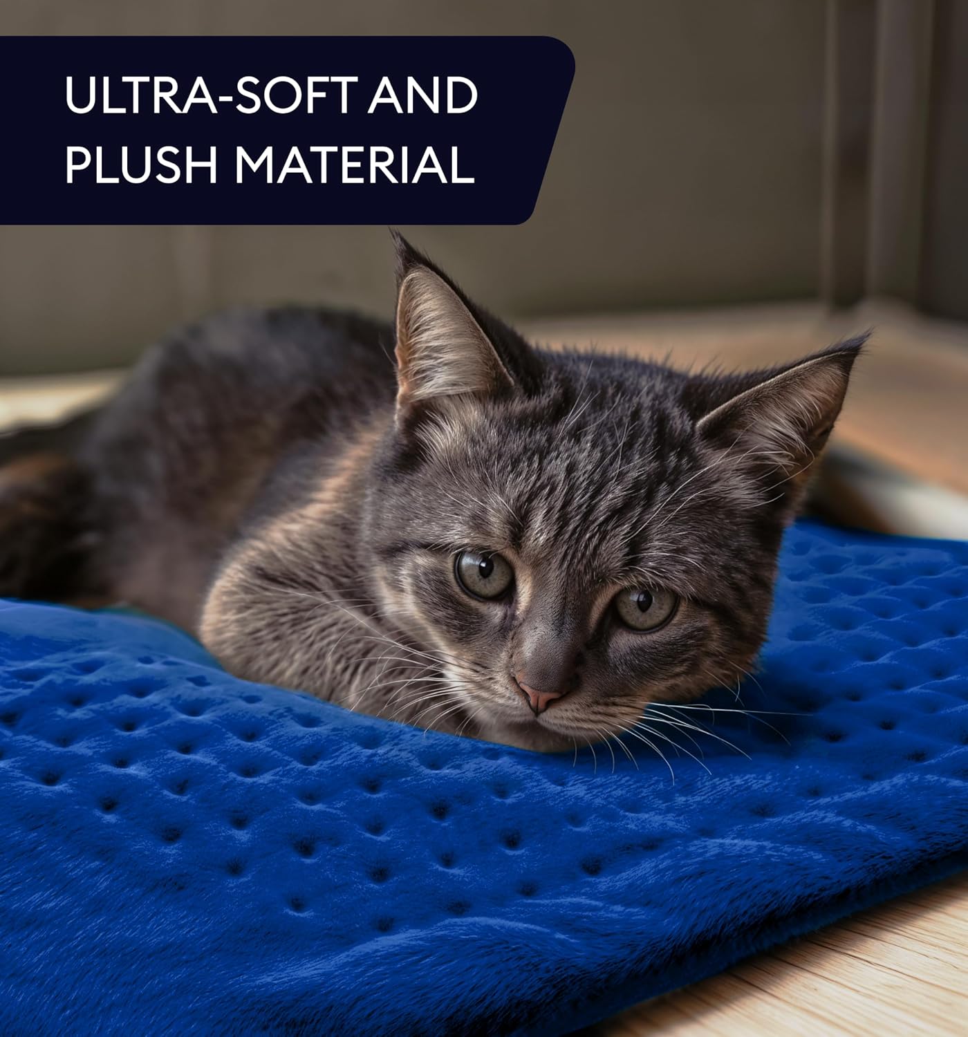 Electric Heating Pad for Back Pain & Cramps Relief, Electric Throw, Self Care Gifts for Women, Heating Pad for Neck & Shoulder, Machine Washable Microplush, Auto Shut Off (12"x24", Tabby Gray)