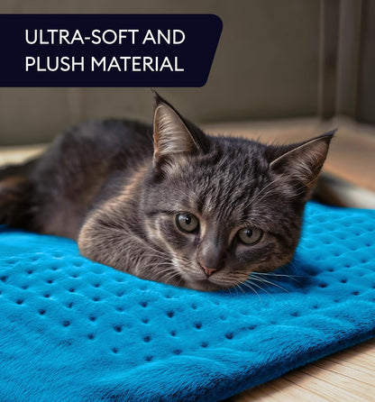 Electric Heating Pad for Back Pain & Cramps Relief, Electric Throw, Self Care Gifts for Women, Heating Pad for Neck & Shoulder, Machine Washable Microplush, Auto Shut Off (12"x24", Tabby Gray)