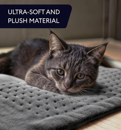 Electric Heating Pad for Back Pain & Cramps Relief, Electric Throw, Self Care Gifts for Women, Heating Pad for Neck & Shoulder, Machine Washable Microplush, Auto Shut Off (12"x24", Tabby Gray)