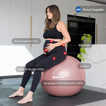 Birthing Ball - Pregnancy Yoga Labor & Exercise Ball & Book Set Trimester Targeting, Maternity Physio, Birth & Recovery Plan Included Anti Burst Eco Friendly (Rosewood, 65cm)