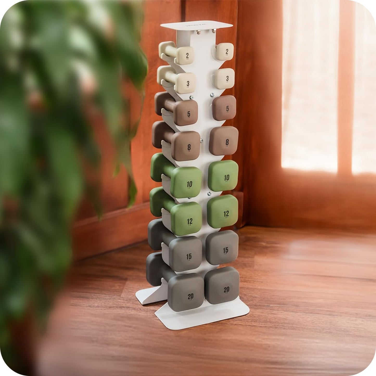 Square Dumbbell Set for Home Gym, Free Weights for Strength Training