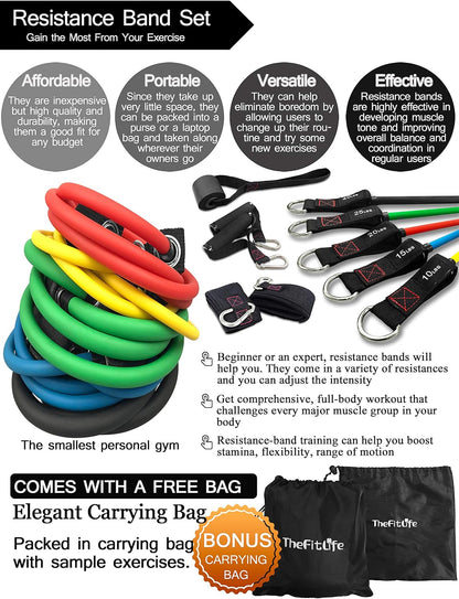 Resistance Bands with Handle Set - for Men and Women, Workout Bands for Strength Exercise, with Handles, Door Anchor & Ankle Straps, for Rehab, Yoga and Fitness