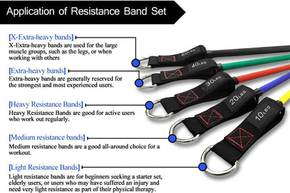 Resistance Bands with Handle Set - for Men and Women, Workout Bands for Strength Exercise, with Handles, Door Anchor & Ankle Straps, for Rehab, Yoga and Fitness