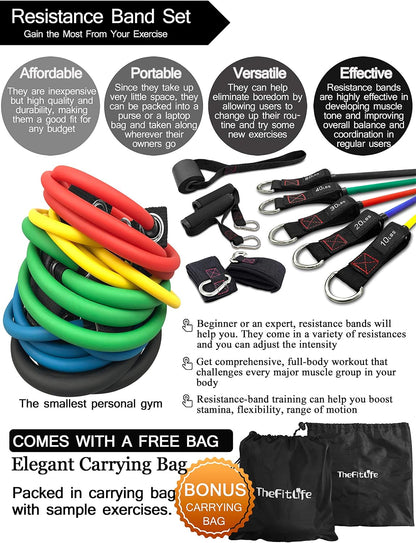 Resistance Bands with Handle Set - for Men and Women, Workout Bands for Strength Exercise, with Handles, Door Anchor & Ankle Straps, for Rehab, Yoga and Fitness
