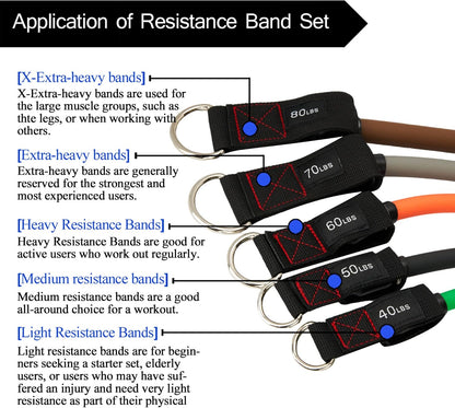 Resistance Bands with Handle Set - for Men and Women, Workout Bands for Strength Exercise, with Handles, Door Anchor & Ankle Straps, for Rehab, Yoga and Fitness