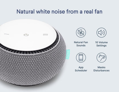 Original Smart White Noise Sound Machine, Real Fan Inside for Sleep