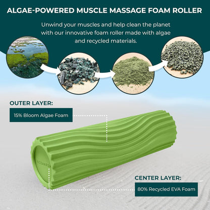 Tidal Roller - Natural - Muscle Massage Foam Roller for Back Pain & Stretching - Firm and Ergonomic Wide Wave Textured - Yoga, Athletics, & Wellness - Full Size, 20" x 5" - Colors A