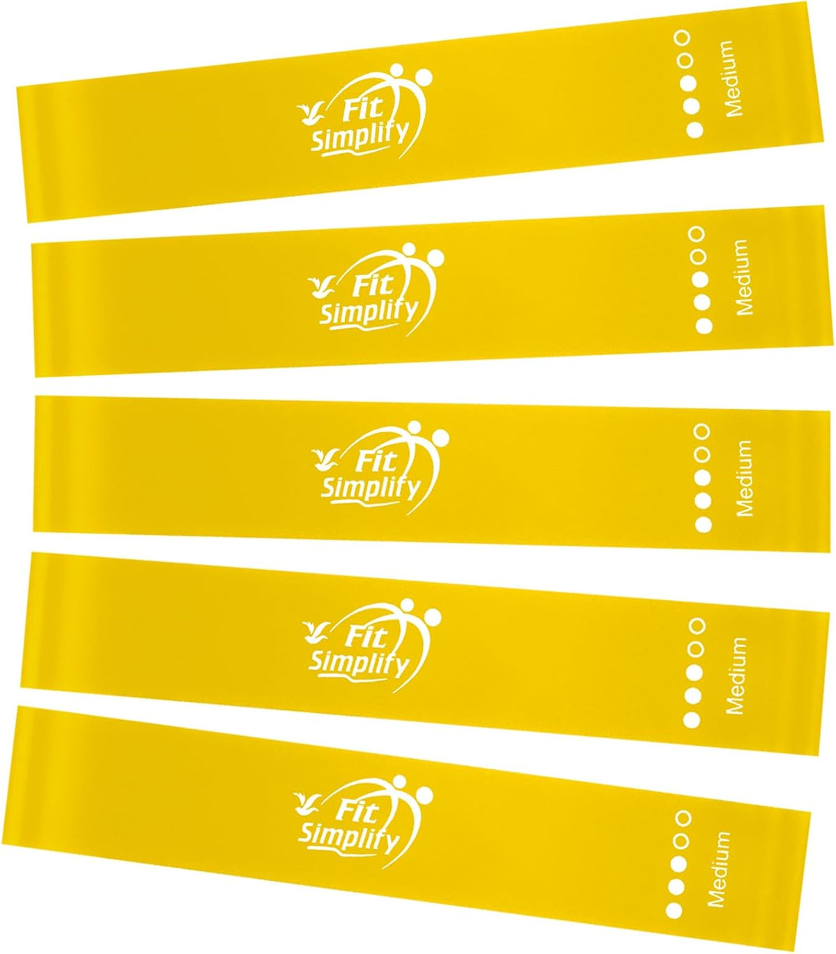Resistance Loop Exercise Fitness Bands with Instruction Guide and Carry Bag, Set of 5