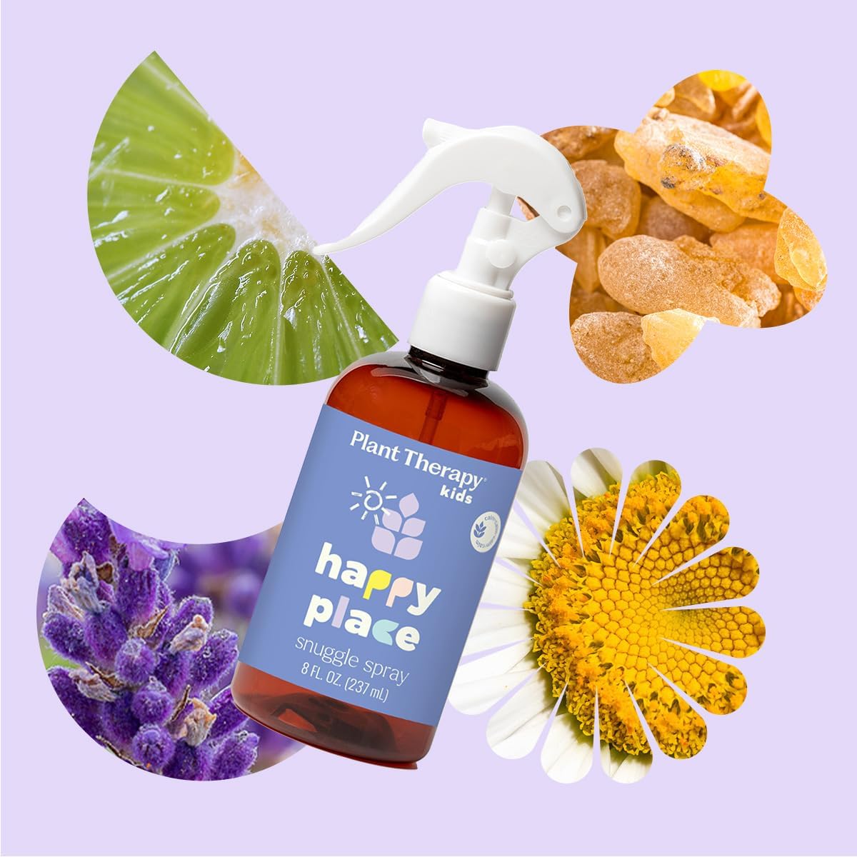 Home Blissful Dreams Lavender Pillow and Linen Mist and Room