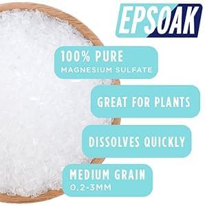 Epsom Salt 5 lb. Magnesium Sulfate USP. Resealable Epsom Salt Bag Unscented, Made in The USA, Cruelty-Free Certified