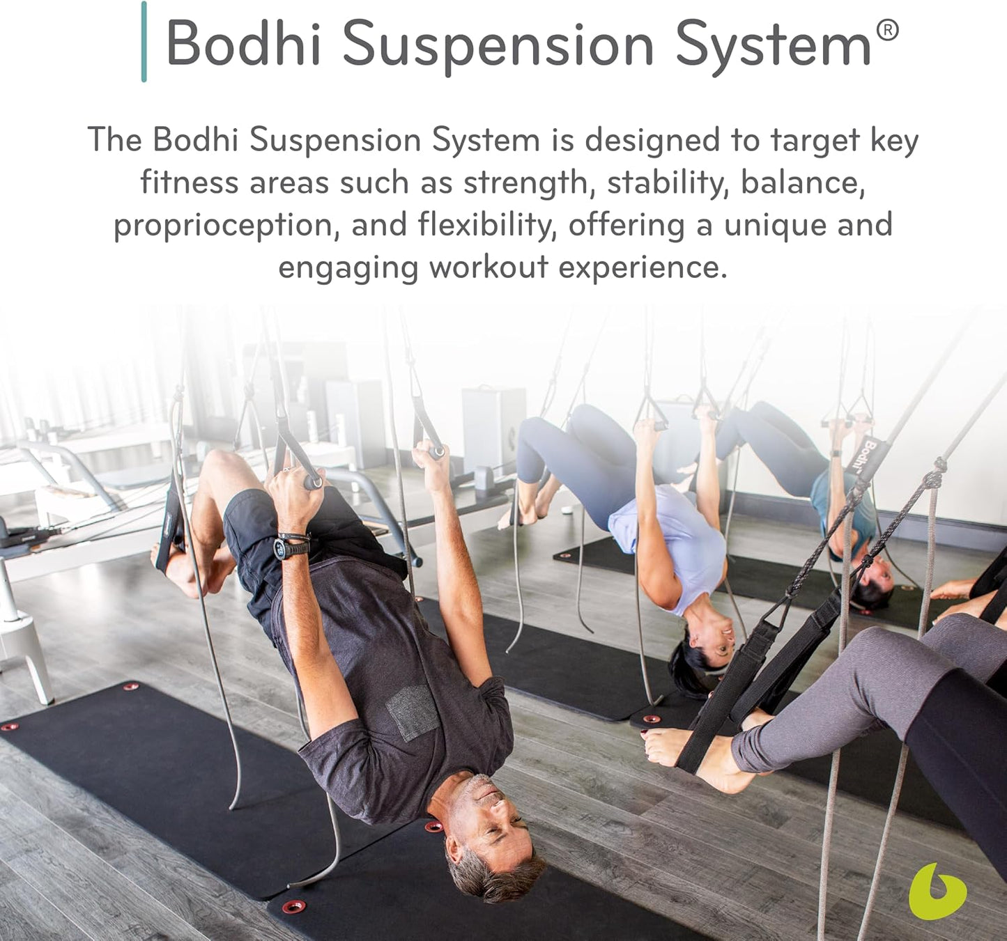 Bodhi Suspension System, Pilates Gym Equipment, Suspension Straps Exercise Equipment for Home Gym or Studio, Gray