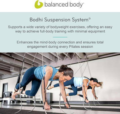 Bodhi Suspension System, Pilates Gym Equipment, Suspension Straps Exercise Equipment for Home Gym or Studio, Gray
