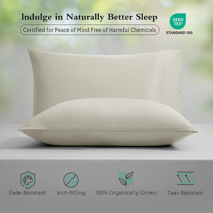 Cooling Pillowcases Queen Size Set of 2, Viscose Derived from Bamboo for Hot Sleepers, Soft & Silky Pillow Covers with Envelope Closure (Light Pink, 2 Pack, 20x30 inches)