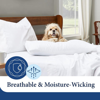 Luxury Rayon Derived from Bamboo Blend Pillowcases