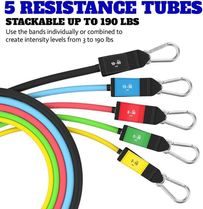 Patented Basic Series Resistance Band Set - Resistance Bands with Snap Reduction Tech, 2 Handles, 2 Ankle Straps, 1 Door Anchor & 1 Carry Bag