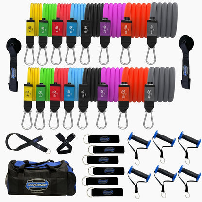 Patented Basic Series Resistance Band Set - Resistance Bands with Snap Reduction Tech, 2 Handles, 2 Ankle Straps, 1 Door Anchor & 1 Carry Bag