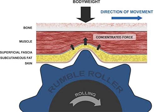 Extra Firm Foam Roller Deep Tissue Massage Roller for Muscle Recovery (12 Inches Compact)