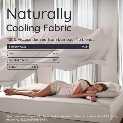 100% Viscose Derived from Bamboo Pillowcase Standard Size – Set of 2 Cooling Pillow Cases Standard Size, Breathable & Anti Acne Pillowcase, Cooling Pillow Cover, Envelope Closure (Sea Glass)