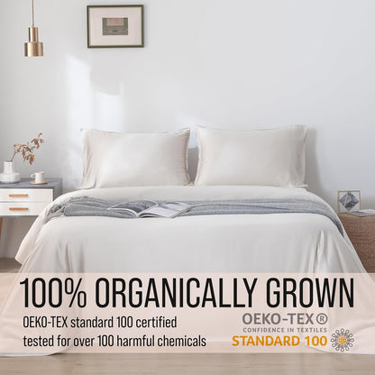 Bella Coterie | Luxury Bamboo Viscose Standard Size Pillowcase Set