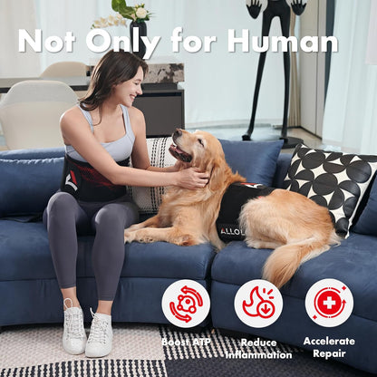 Red Light for Body, 3 in 1 LEDs Red Light Belt with Timer Remote Control, 660nm 850nm Infrared Light Pad for Body Waist Shoulder Knee, 12.6" x 6.3" Large Area