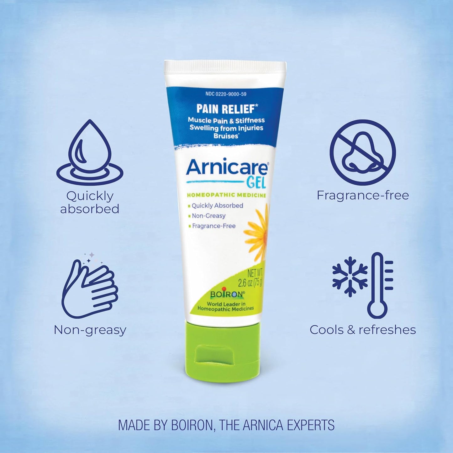 Arnicare Gel for Relief of Joint Pain, Muscle Pain, Muscle Soreness, and Swelling from Bruises or Injury - Non-greasy and Fragrance-Free - 2.6 oz