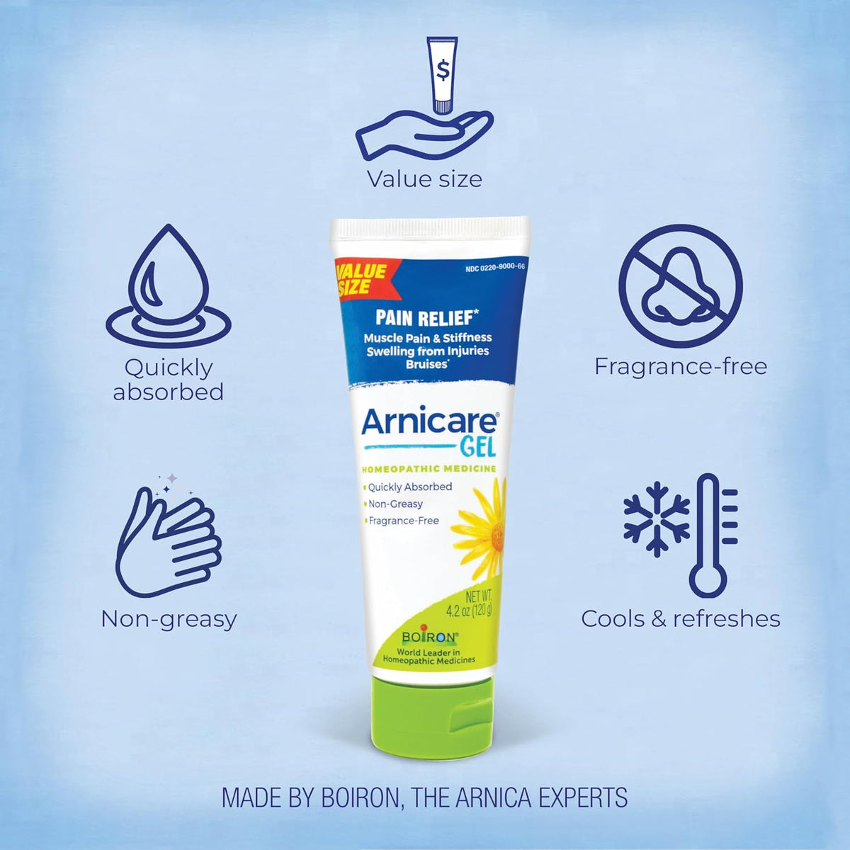 Arnicare Gel for Relief of Joint Pain, Muscle Pain, Muscle Soreness, and Swelling from Bruises or Injury - Non-greasy and Fragrance-Free - 2.6 oz