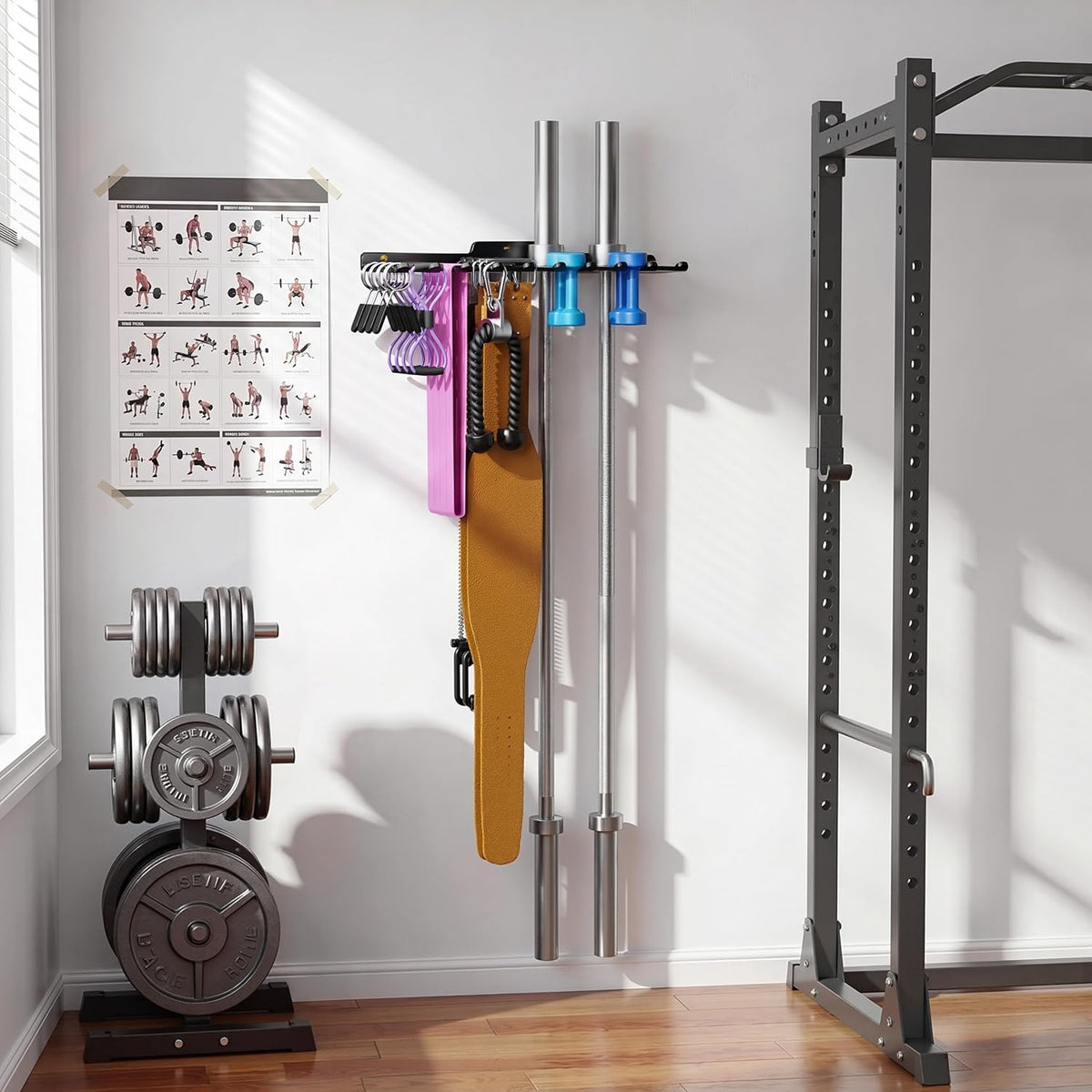Wall Mounted Home Gym Equipment Storage Rack, Cable Attachments, Lifting Belts, Jump Ropes and Chains