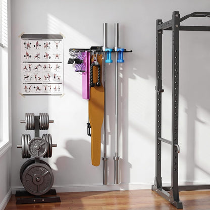 Wall Mounted Home Gym Equipment Storage Rack, Cable Attachments, Lifting Belts, Jump Ropes and Chains