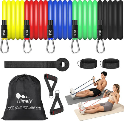 Resistance Bands Set, Exercise Bands Strength Training Fitness Bands Workout Elastic Bands with Legs Ankle Straps, Door Anchor, Handles & Carry Bag for Home Outdoor Workouts