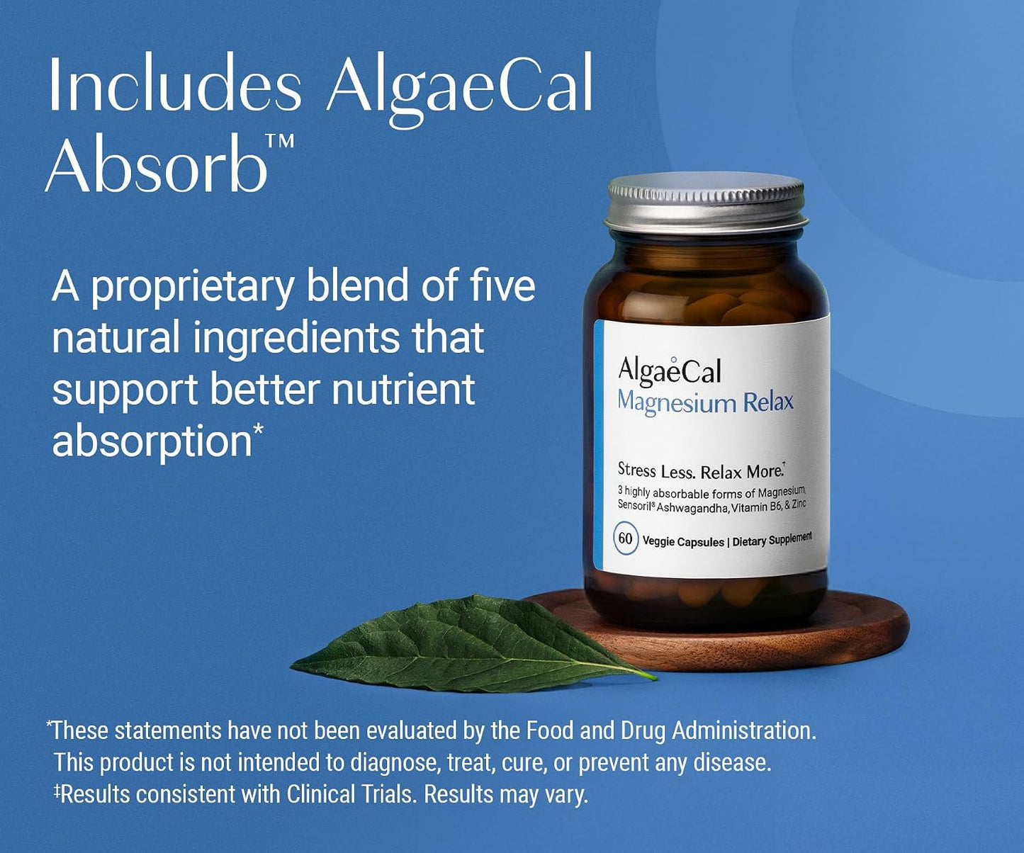 Magnesium Relax for Sleep, Stress, & Cortisol Support, 60 Caps