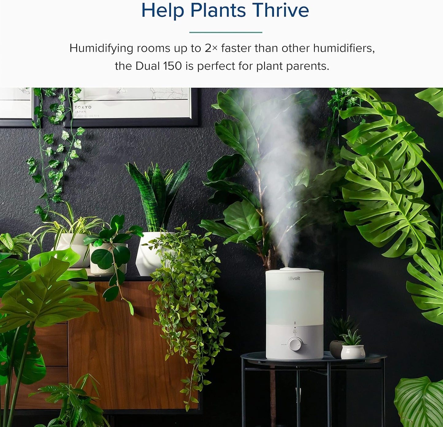 Humidifiers for Bedroom 4.2L Top Fill for Large Room, NeoClassic 450