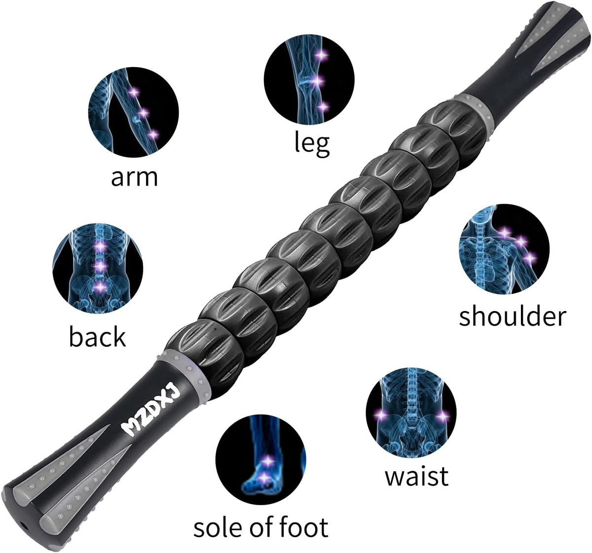 Muscle Roller Massage Roller Stick- Deep Tissue Fascia Blaster for Myofascial Pain Relief, Lymphatic Drainage & Body Sculpting, Handheld Physical Therapy & Recovery Tool (Purple Black-18 inch)