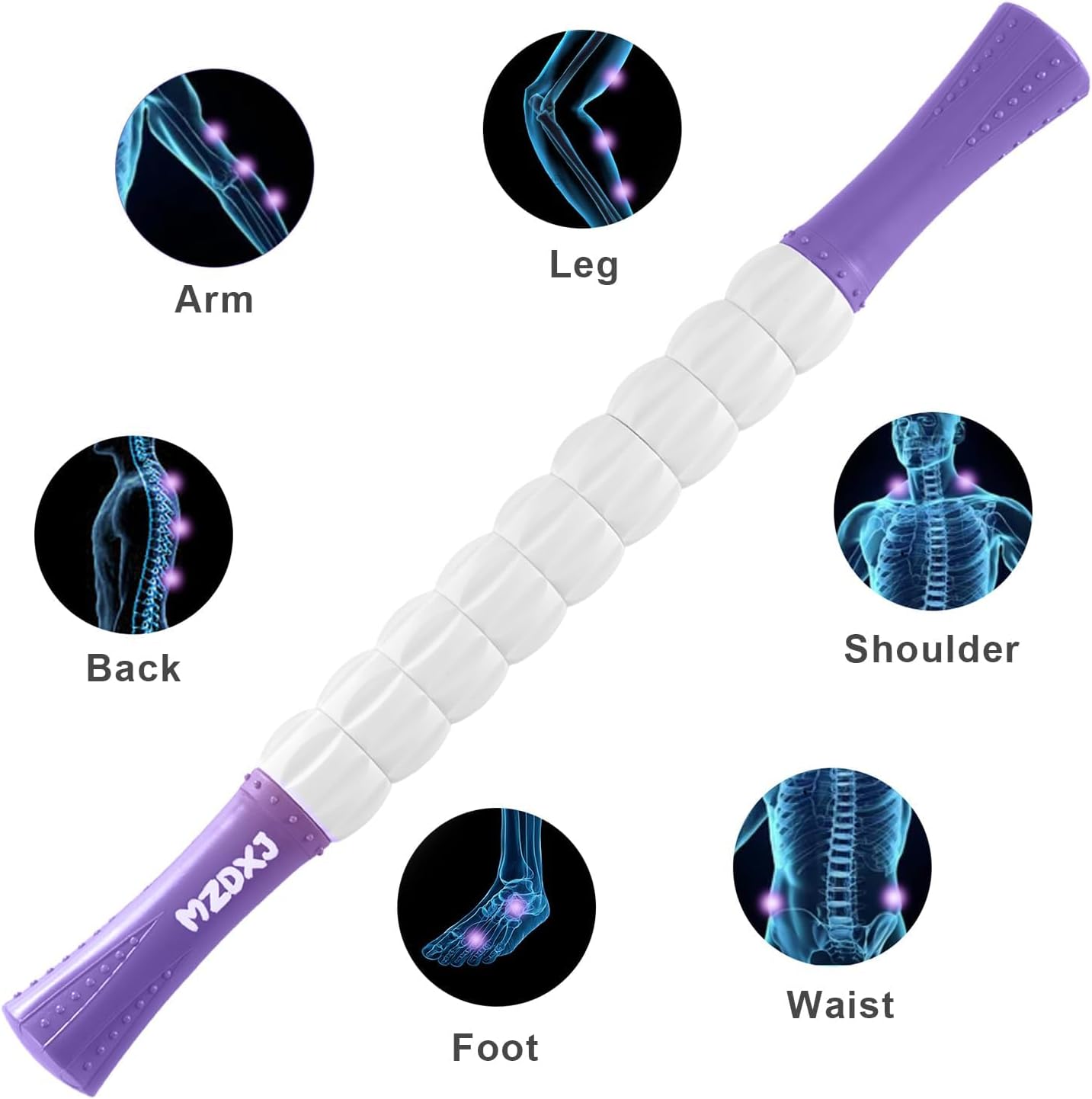 Muscle Roller Massage Roller Stick- Deep Tissue Fascia Blaster for Myofascial Pain Relief, Lymphatic Drainage & Body Sculpting, Handheld Physical Therapy & Recovery Tool (Purple Black-18 inch)