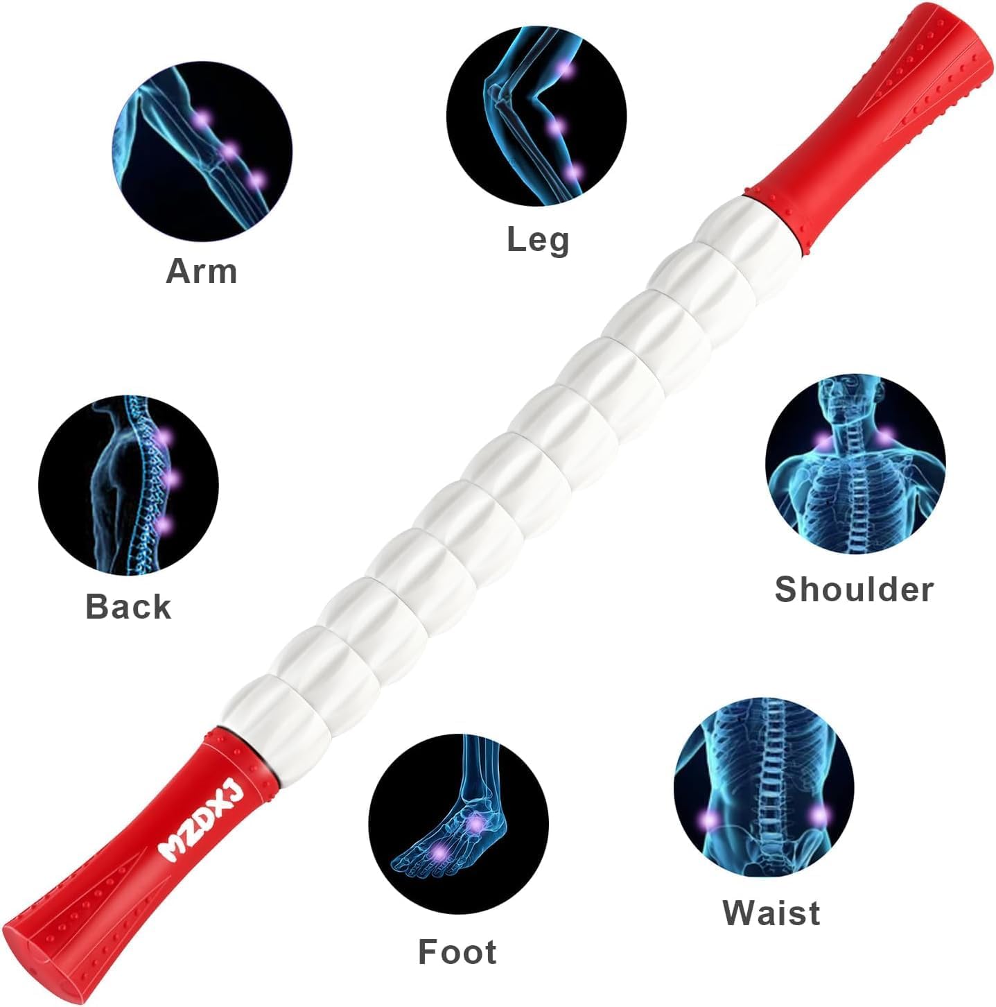 Muscle Roller Massage Roller Stick- Deep Tissue Fascia Blaster for Myofascial Pain Relief, Lymphatic Drainage & Body Sculpting, Handheld Physical Therapy & Recovery Tool (Purple Black-18 inch)