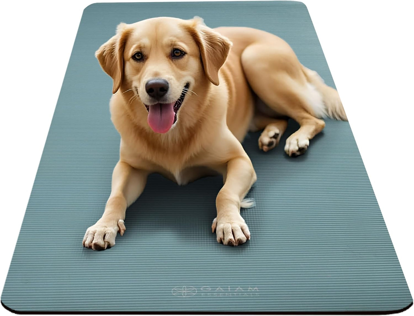 Thick Yoga Mat, Exercise & Fitness Mat with Easy-Cinch Carrying Strap | Non-Slip NBR Foam | Joint Cushioning | Yoga, Pilates, Fitness & Floor Workouts | 72"L x 24"W