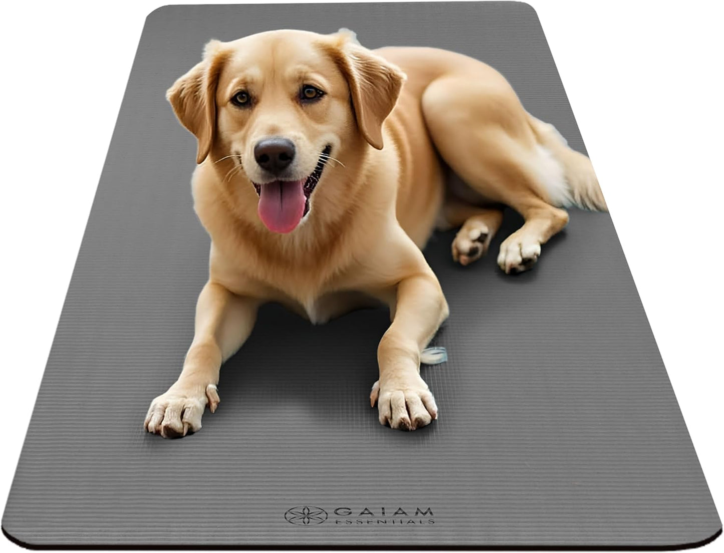 Thick Yoga Mat, Exercise & Fitness Mat with Easy-Cinch Carrying Strap | Non-Slip NBR Foam | Joint Cushioning | Yoga, Pilates, Fitness & Floor Workouts | 72"L x 24"W