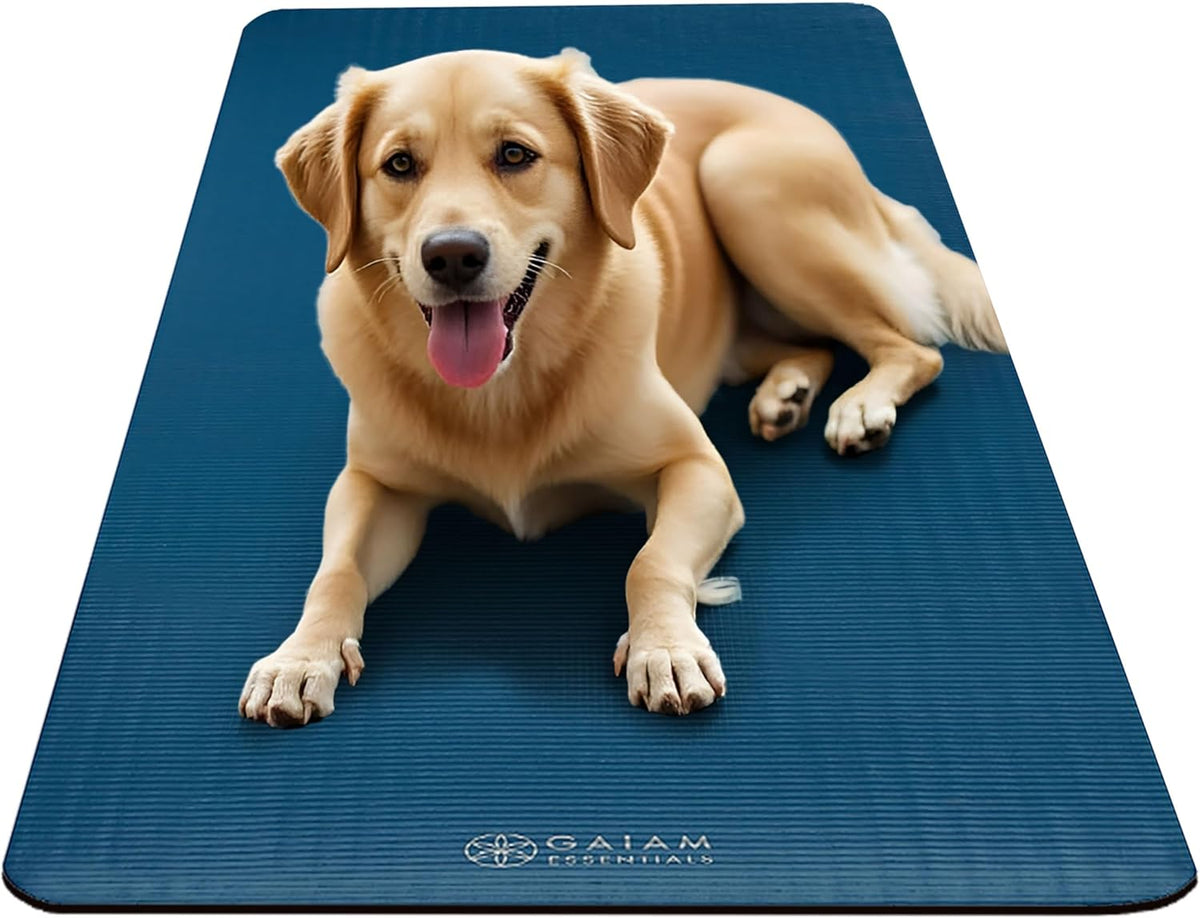 Thick Yoga Mat, Exercise & Fitness Mat with Easy-Cinch Carrying Strap | Non-Slip NBR Foam | Joint Cushioning | Yoga, Pilates, Fitness & Floor Workouts | 72"L x 24"W
