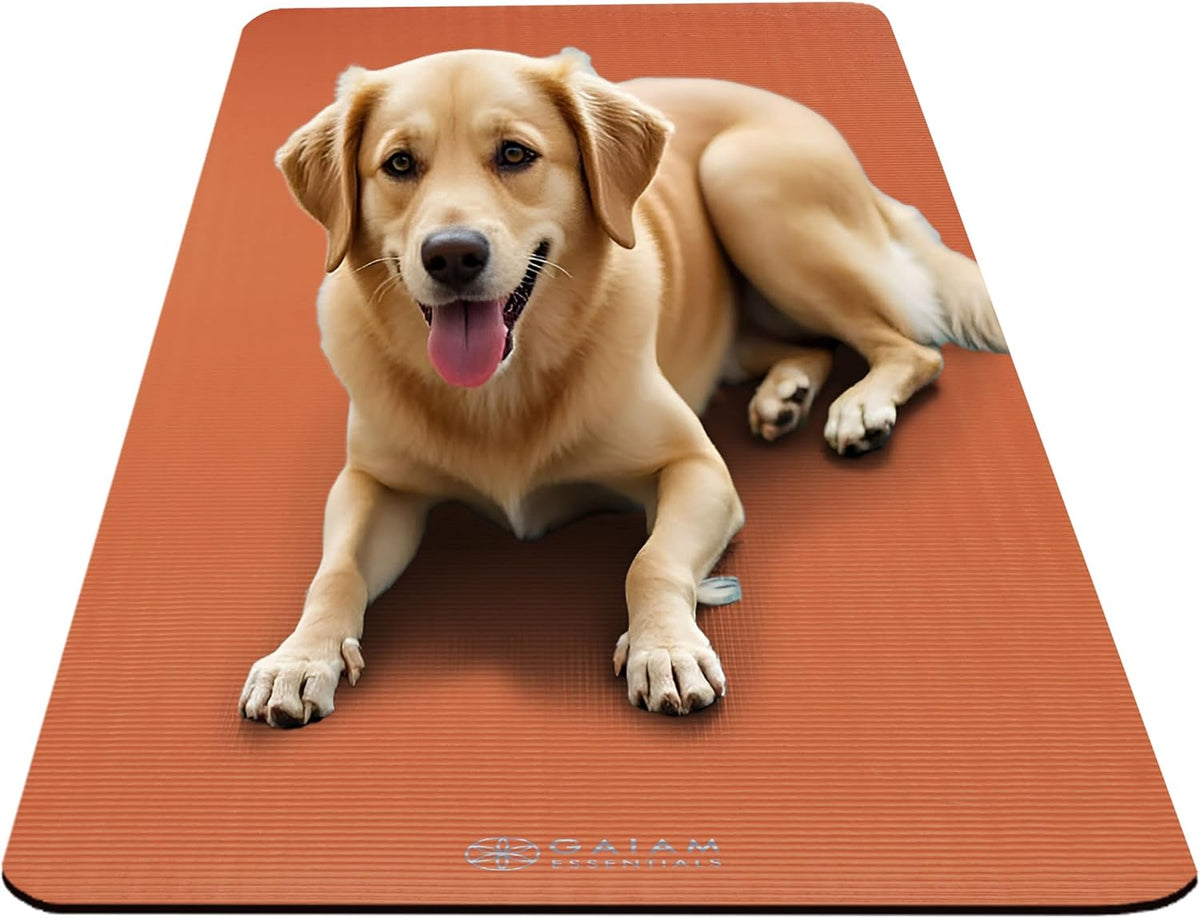 Thick Yoga Mat, Exercise & Fitness Mat with Easy-Cinch Carrying Strap | Non-Slip NBR Foam | Joint Cushioning | Yoga, Pilates, Fitness & Floor Workouts | 72"L x 24"W