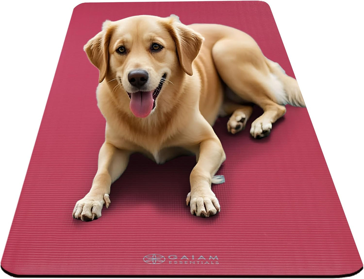 Thick Yoga Mat, Exercise & Fitness Mat with Easy-Cinch Carrying Strap | Non-Slip NBR Foam | Joint Cushioning | Yoga, Pilates, Fitness & Floor Workouts | 72"L x 24"W
