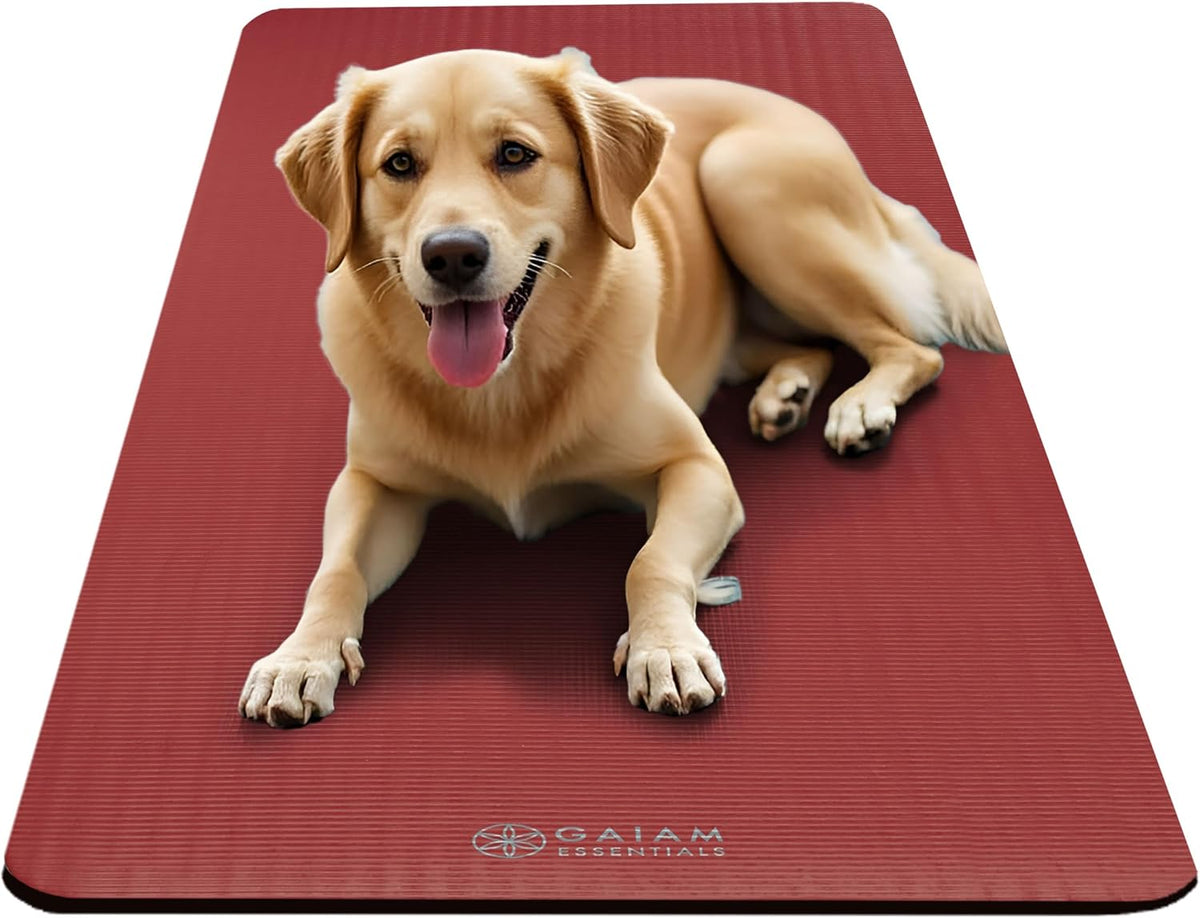 Thick Yoga Mat, Exercise & Fitness Mat with Easy-Cinch Carrying Strap | Non-Slip NBR Foam | Joint Cushioning | Yoga, Pilates, Fitness & Floor Workouts | 72"L x 24"W