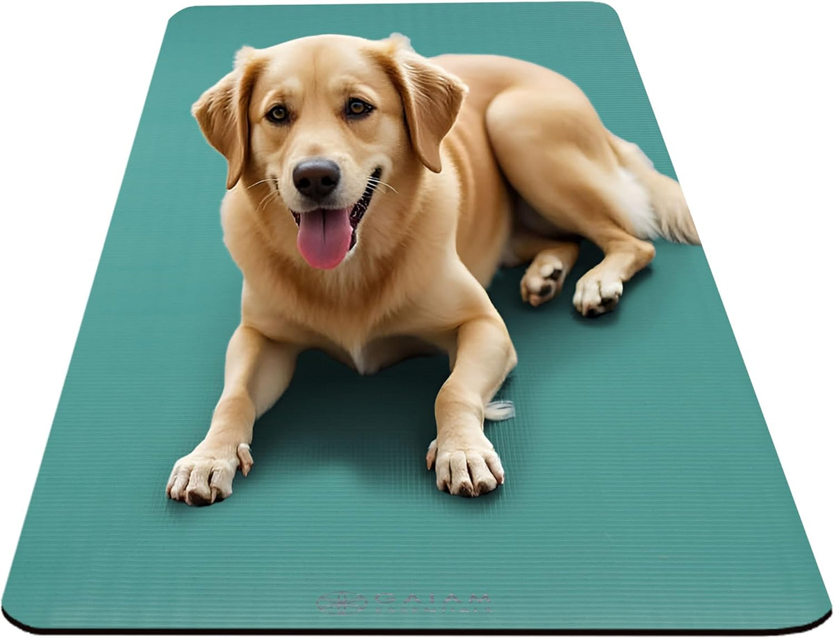 Thick Yoga Mat, Exercise & Fitness Mat with Easy-Cinch Carrying Strap | Non-Slip NBR Foam | Joint Cushioning | Yoga, Pilates, Fitness & Floor Workouts | 72"L x 24"W