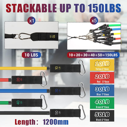 Exercise Resistance Bands with Handles for Working Out Workout Bands Set with Door Anchor for Physical Therapy, Yoga, Pilates