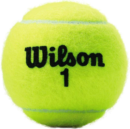 Championship Tennis Balls