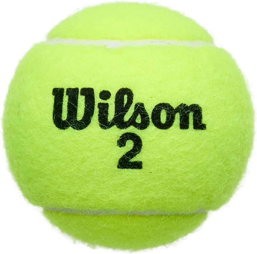Championship Tennis Balls