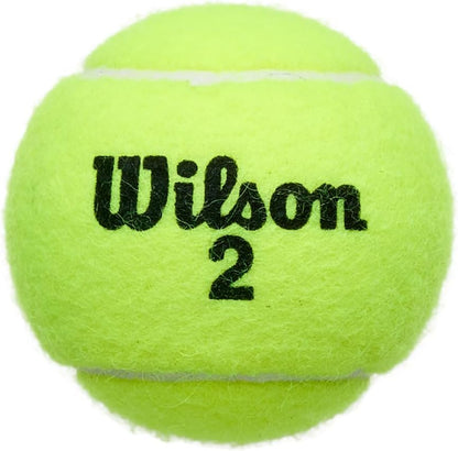 Championship Tennis Balls