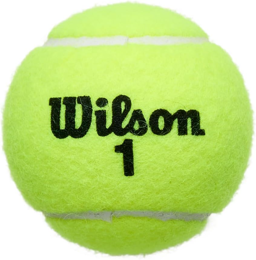 Championship Tennis Balls