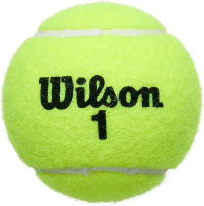 Championship Tennis Balls