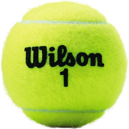 Championship Tennis Balls
