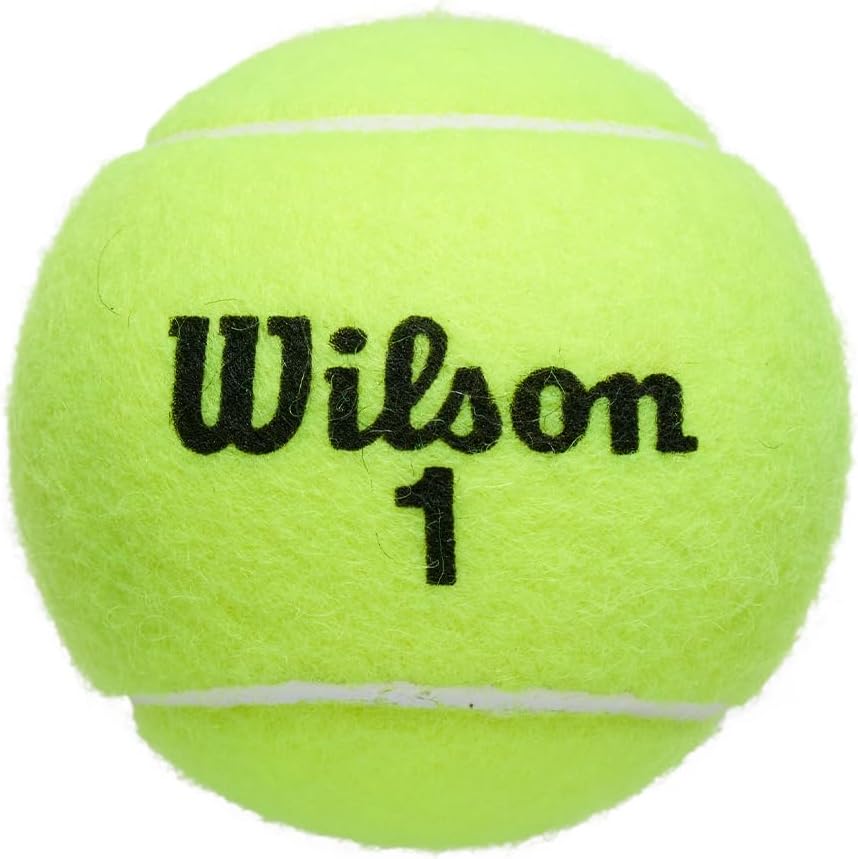 Championship Tennis Balls