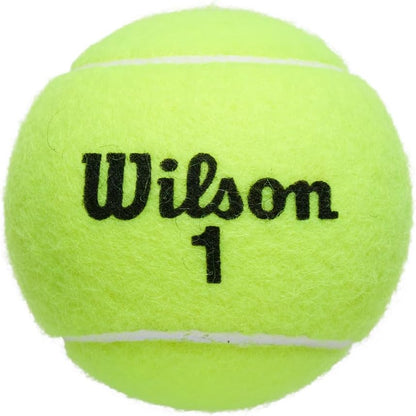 Championship Tennis Balls